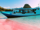 Paket Liburan Pulau Komodo 1 Hari Dengan Kapal Open Deck