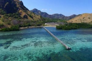 Jelajahi Pulau Manjarite Labuan Bajo : Terdapat Terumbu Karang dan Ikan Warna Warni