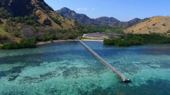 Jelajahi Pulau Manjarite Labuan Bajo : Terdapat Terumbu Karang dan Ikan Warna Warni