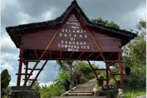 Bukan Cuma Komodo, Ini Pesona Lain Labuan Bajo di Kampung Compang To’e Melo