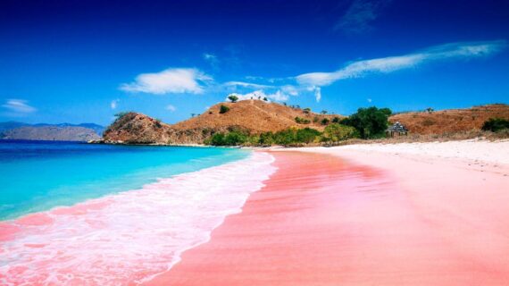 Affordable and Comfortable Accommodations in Labuan Bajo: A Traveler’s Guide