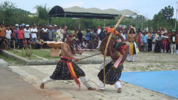 Mengenal Tarian Caci: Warisan Budaya Unik dari Manggarai, Flores