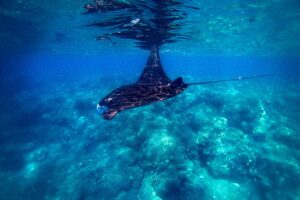 Keuntungan dan Pengalaman Menarik Menghabiskan Waktu di Kapal Saat Berwisata ke Labuan Bajo