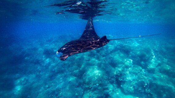 Keuntungan dan Pengalaman Menarik Menghabiskan Waktu di Kapal Saat Berwisata ke Labuan Bajo