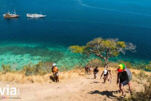 Itinerary 3 Hari 2 Malam di Labuan Bajo: Pengalaman Wisata yang Tak Terlupakan
