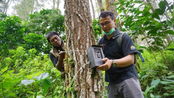 The Rich Diversity of Traditional Indonesian Street Snacks: A Cultural and Culinary Journey