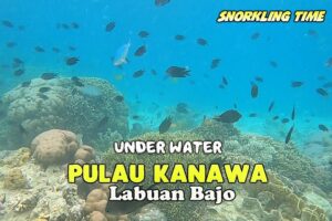 Exploring Labuan Bajo in 3 Days: A Comprehensive Travel Guide