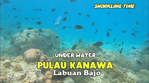 Exploring Labuan Bajo in 3 Days: A Comprehensive Travel Guide