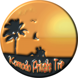 Logo-Komodo-Private-Trip-1.png