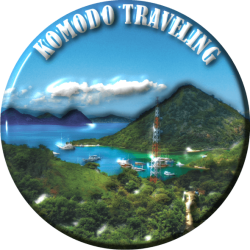 Logo Komodo Traveling (1)